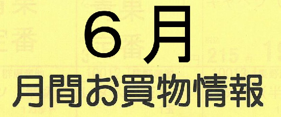６月月間お買い物情報